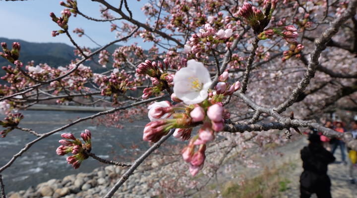 トイレと若さの関係3
