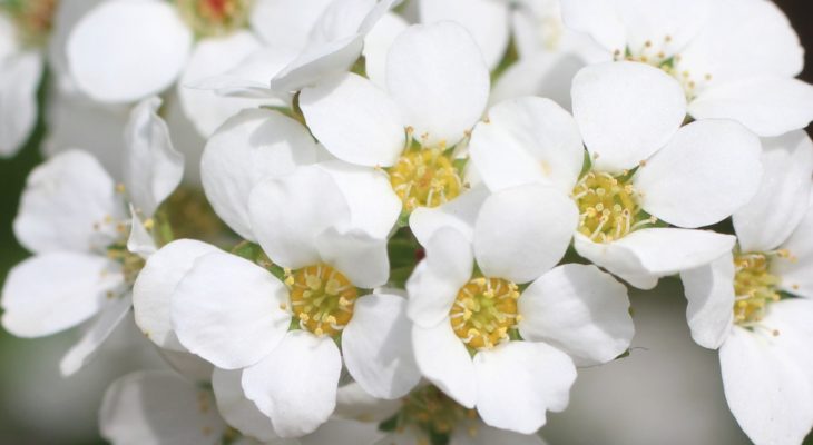 トイレと若さの関係　完結編