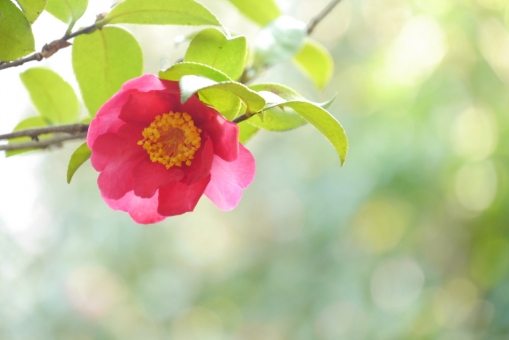 マナーは無いのか？！